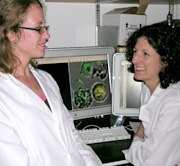 Erika Pearce, PhD and Gretchen Harms look at T-cells on a computer screen